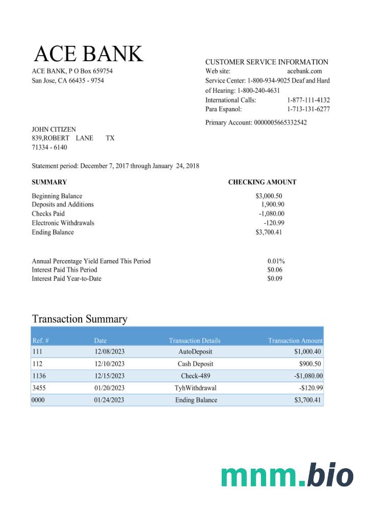 USA 1one card statement szablon Worda i PDF w